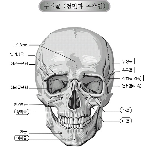 ΰa-1.jpg