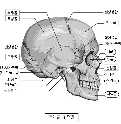 ΰa-2.jpg