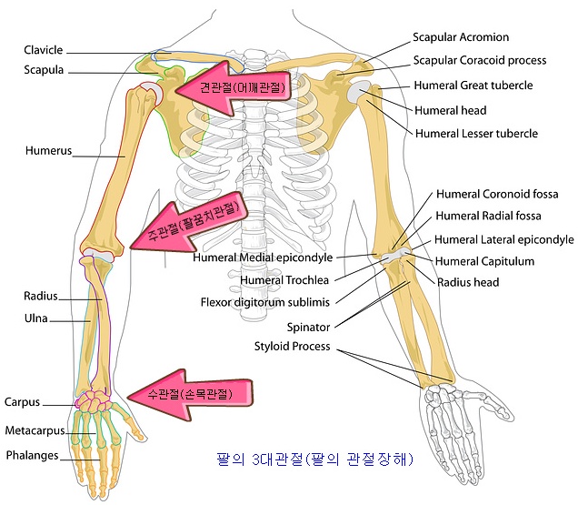 뵿ɷ»Ƿǥ.jpg