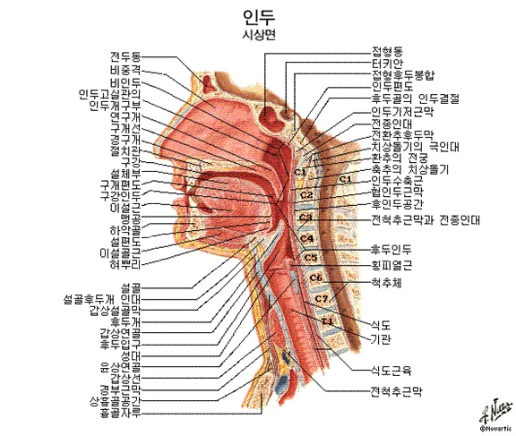 ε(û).jpg