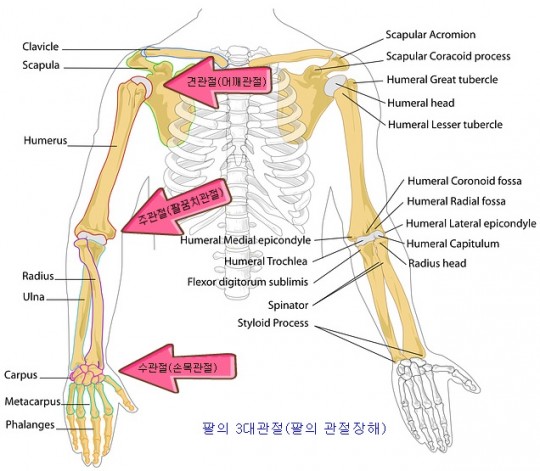 뵿ɷ»Ƿǥ.jpg